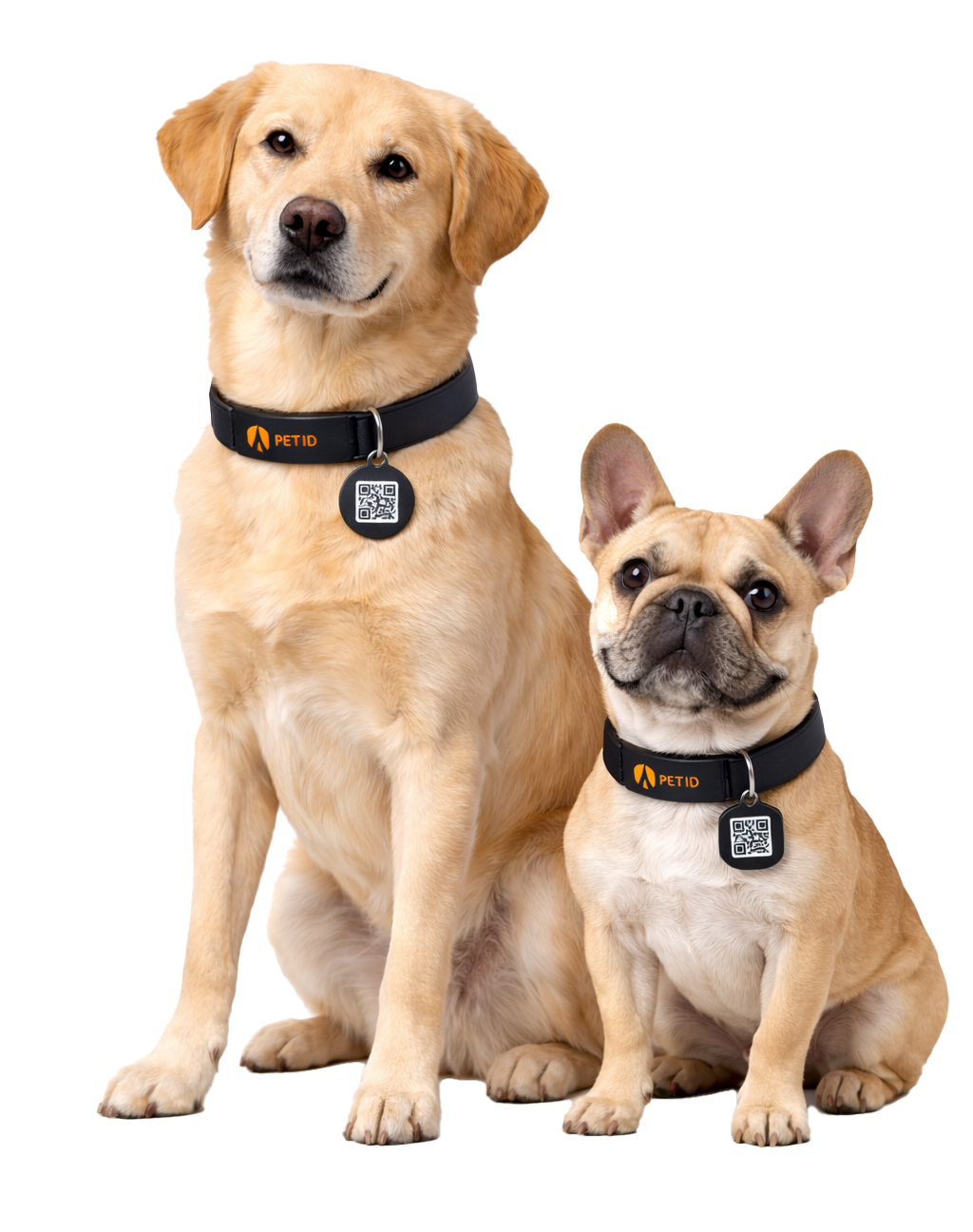 Pet ID — protege a tu mascota